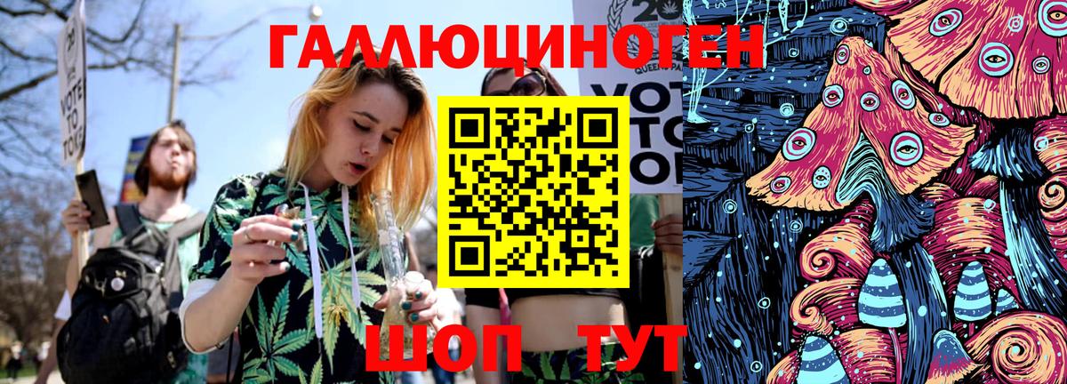 Псилоцибиновые грибы Psilocybe Электросталь