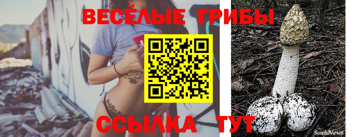 Электросталь  Псилоцибиновые грибы Psilocybine cubensis  Вход с VPN 